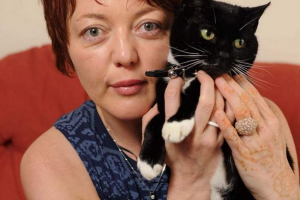 Господині врятованої кішки була позована з новими власниками протягом року, бажаючи повернути її до себе Господині врятованої кішки була позована з новими власниками протягом року, бажаючи повернути її до себе